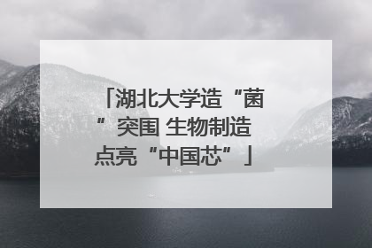 湖北大学造“菌”突围 生物制造点亮“中国芯”