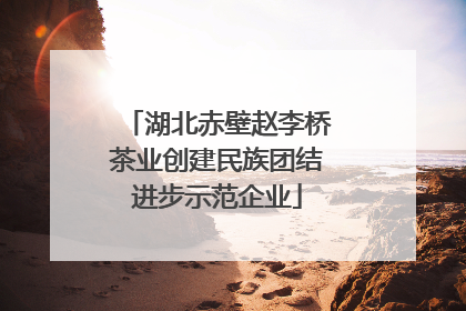 湖北赤壁赵李桥茶业创建民族团结进步示范企业