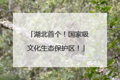 湖北首个！国家级文化生态保护区！
