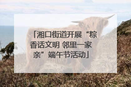 湘口街道开展“粽香话文明 邻里一家亲”端午节活动