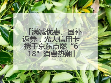 满减优惠、国补返券，光大信用卡携手京东点燃“618”消费热潮