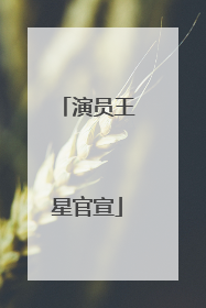 演员王星官宣