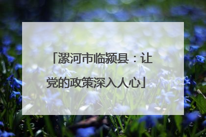 漯河市临颍县：让党的政策深入人心