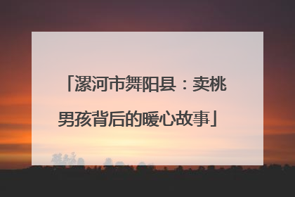 漯河市舞阳县：卖桃男孩背后的暖心故事