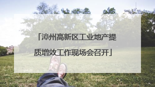 漳州高新区工业地产提质增效工作现场会召开