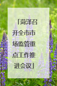 菏泽召开全市市场监管重点工作推进会议