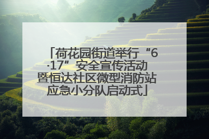 荷花园街道举行“6·17”安全宣传活动暨恒达社区微型消防站应急小分队启动式