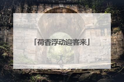 荷香浮动迎客来