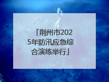 荆州市2025年防汛应急综合演练举行