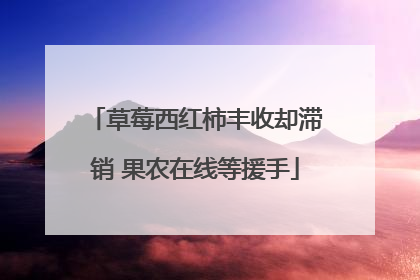 草莓西红柿丰收却滞销 果农在线等援手