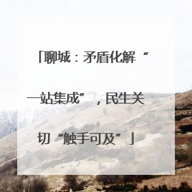 聊城：矛盾化解“一站集成”，民生关切“触手可及”