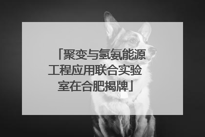 聚变与氢氨能源工程应用联合实验室在合肥揭牌