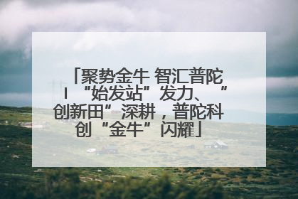 聚势金牛 智汇普陀〡“始发站”发力、“创新田”深耕，普陀科创“金牛”闪耀