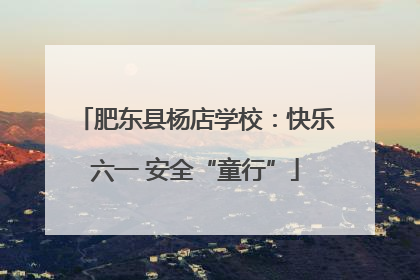 肥东县杨店学校：快乐六一 安全“童行”