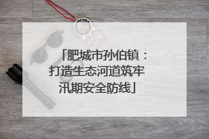 肥城市孙伯镇：打造生态河道筑牢汛期安全防线