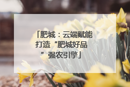 肥城：云端赋能 打造“肥城好品”强农引擎