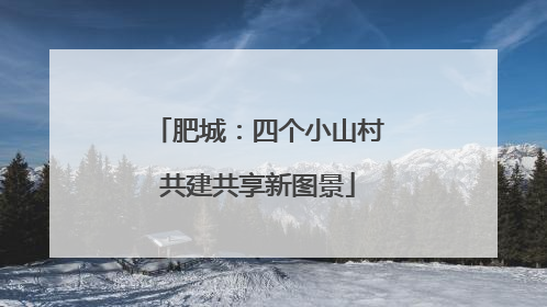 肥城：四个小山村共建共享新图景