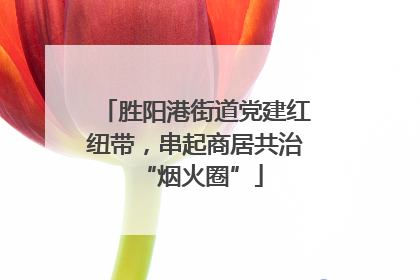 胜阳港街道党建红纽带，串起商居共治 “烟火圈”