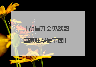 胡昌升会见欧盟国家驻华使节团