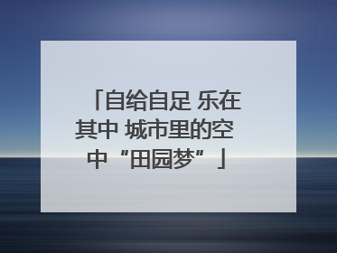 自给自足 乐在其中 城市里的空中“田园梦”