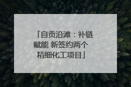 自贡沿滩：补链赋能 新签约两个精细化工项目