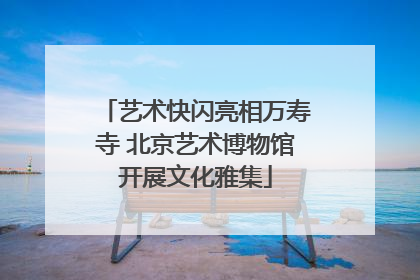 艺术快闪亮相万寿寺 北京艺术博物馆开展文化雅集