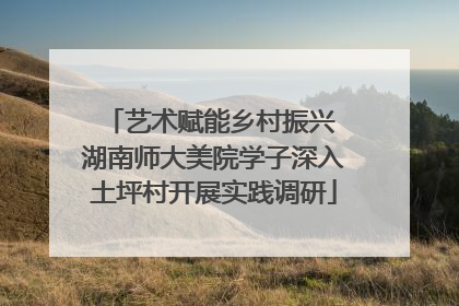 艺术赋能乡村振兴 湖南师大美院学子深入土坪村开展实践调研