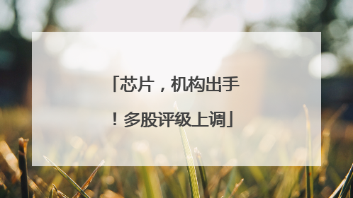 芯片，机构出手！多股评级上调