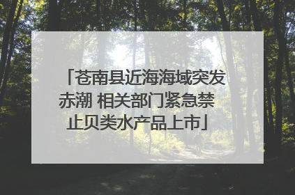 苍南县近海海域突发赤潮 相关部门紧急禁止贝类水产品上市