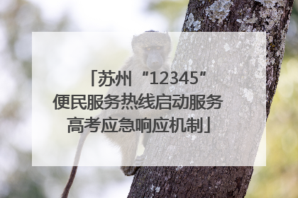 苏州“12345”便民服务热线启动服务高考应急响应机制