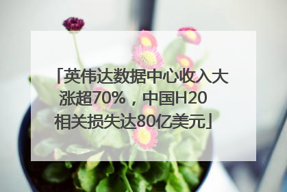 英伟达数据中心收入大涨超70%，中国H20相关损失达80亿美元