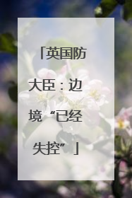英国防大臣：边境“已经失控”