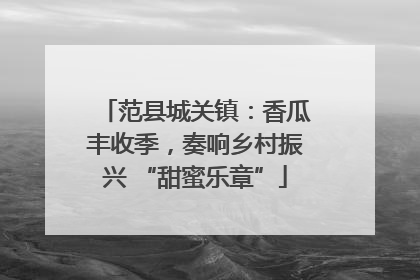 范县城关镇：香瓜丰收季，奏响乡村振兴 “甜蜜乐章”