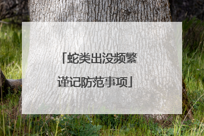 蛇类出没频繁 谨记防范事项
