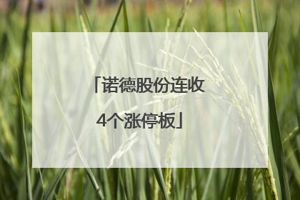 诺德股份连收4个涨停板