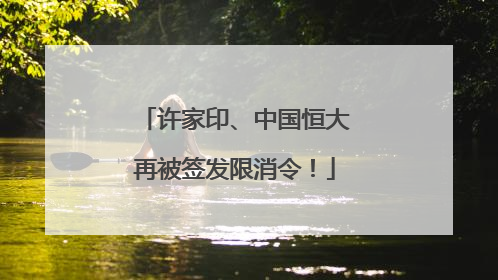 许家印、中国恒大再被签发限消令！