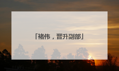 褚伟，晋升副部