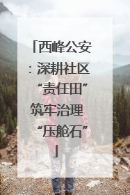 西峰公安：深耕社区“责任田” 筑牢治理“压舱石”
