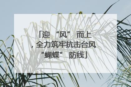 迎 “风” 而上，全力筑牢抗击台风 “蝴蝶” 防线