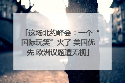 这场北约峰会：一个“国际玩笑”火了 美国优先 欧洲议题遭无视