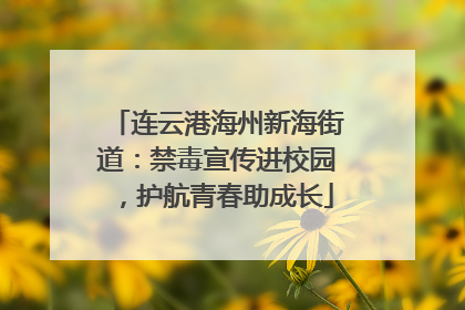 连云港海州新海街道：禁毒宣传进校园，护航青春助成长