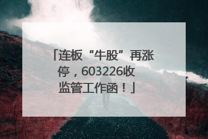 连板“牛股”再涨停，603226收监管工作函！