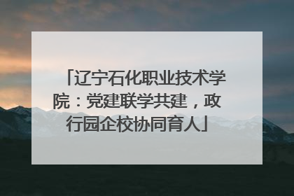 辽宁石化职业技术学院：党建联学共建，政行园企校协同育人