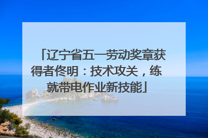 辽宁省五一劳动奖章获得者佟明：技术攻关，练就带电作业新技能