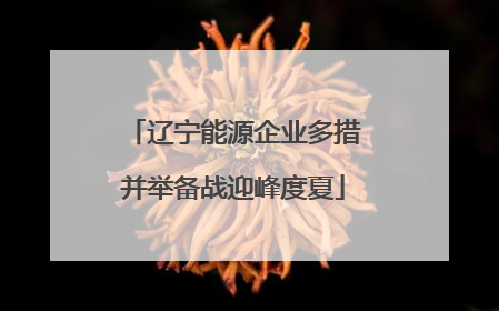 辽宁能源企业多措并举备战迎峰度夏