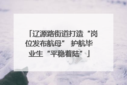 辽源路街道打造“岗位发布航母” 护航毕业生“平稳着陆”