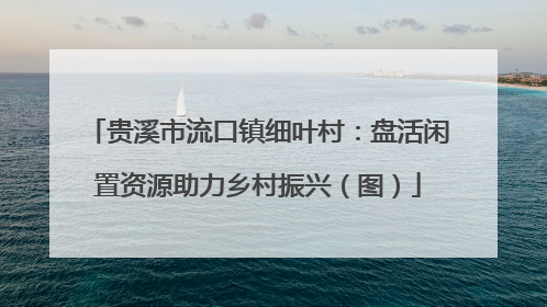 贵溪市流口镇细叶村：盘活闲置资源助力乡村振兴（图）