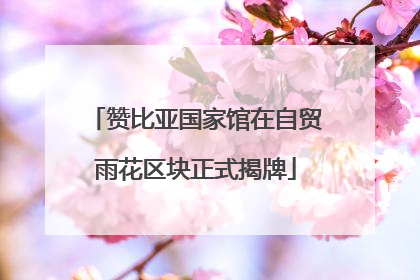 赞比亚国家馆在自贸雨花区块正式揭牌