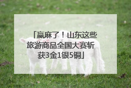 赢麻了！山东这些旅游商品全国大赛斩获3金1银5铜