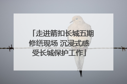 走进箭扣长城五期修缮现场 沉浸式感受长城保护工作